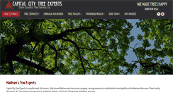 Desktop Screenshot of capcitytree.com