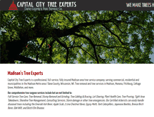 Tablet Screenshot of capcitytree.com